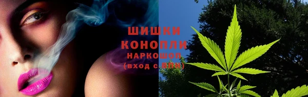 гашик Медвежьегорск