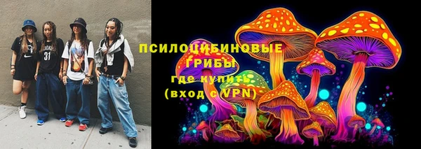 гашик Медвежьегорск