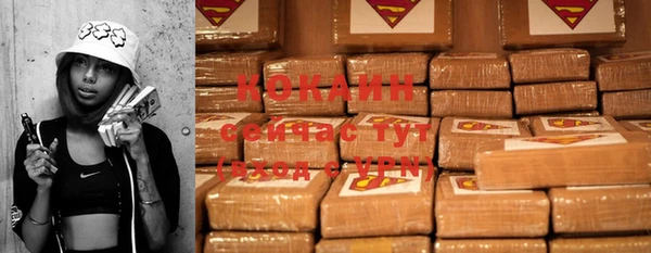амф Вяземский